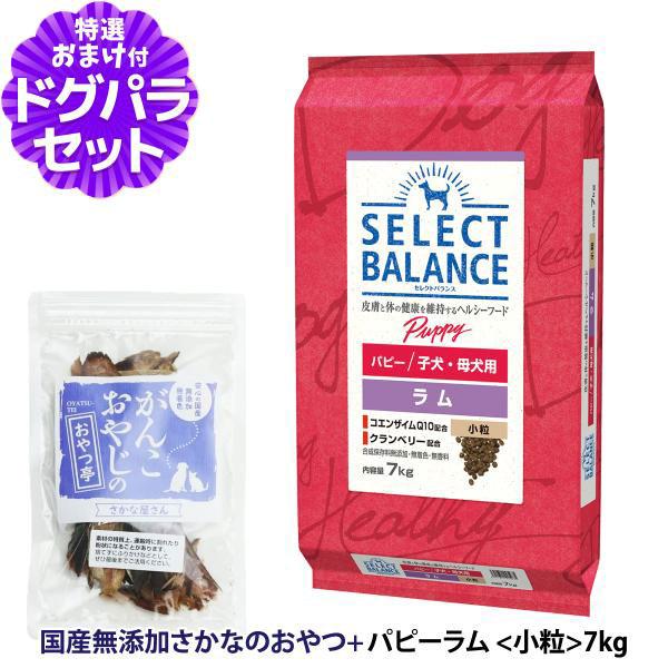 セレクトバランス パピー ラム 小粒7kg ＋お試し国産お魚おやつ 約20g 