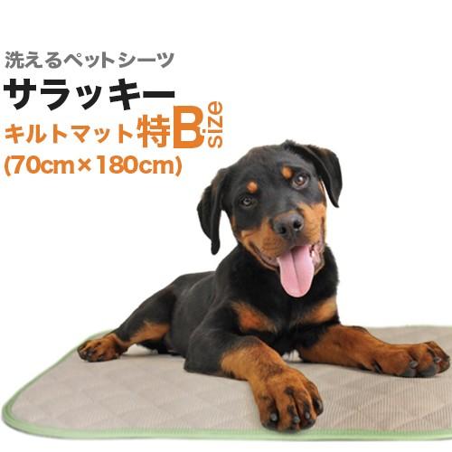 洗えるキルティングペットシート「サラッキー」 Amazon | 洗えるキルティングペットシーツ「サラッキー」（S：29cm
