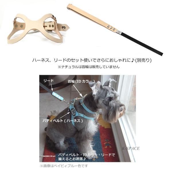 通販卸し売り バディベルト BBハーネス ３号 キャメル その他