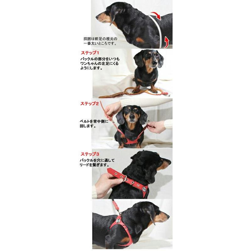 犬用品 バディーベルト犬用ハーネス ホワイトキャップ スワロフスキー3号