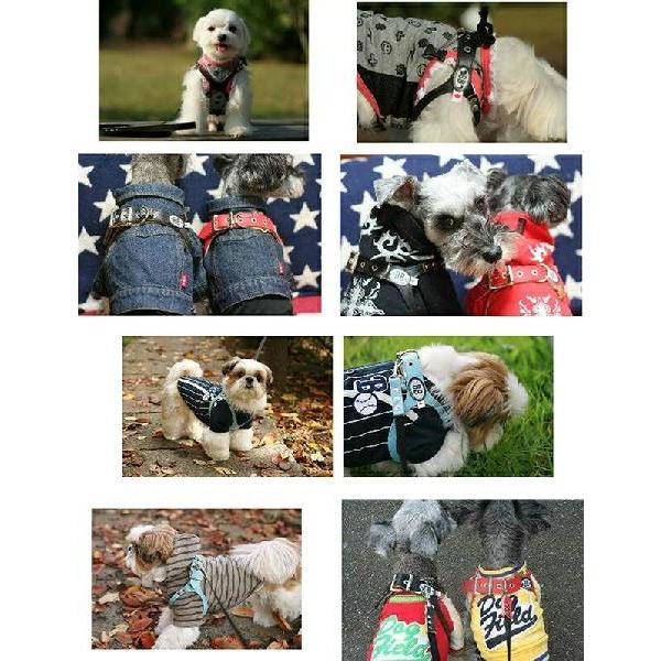 バディーベルト ハーネス 2号 Gold Nugget ゴールドナゲット 小型犬 ペット レザー 本革 Buddybelt バディベルト 犬用 胴輪 h 2 Egn Dogskip Yahoo 店 通販 Yahoo ショッピング