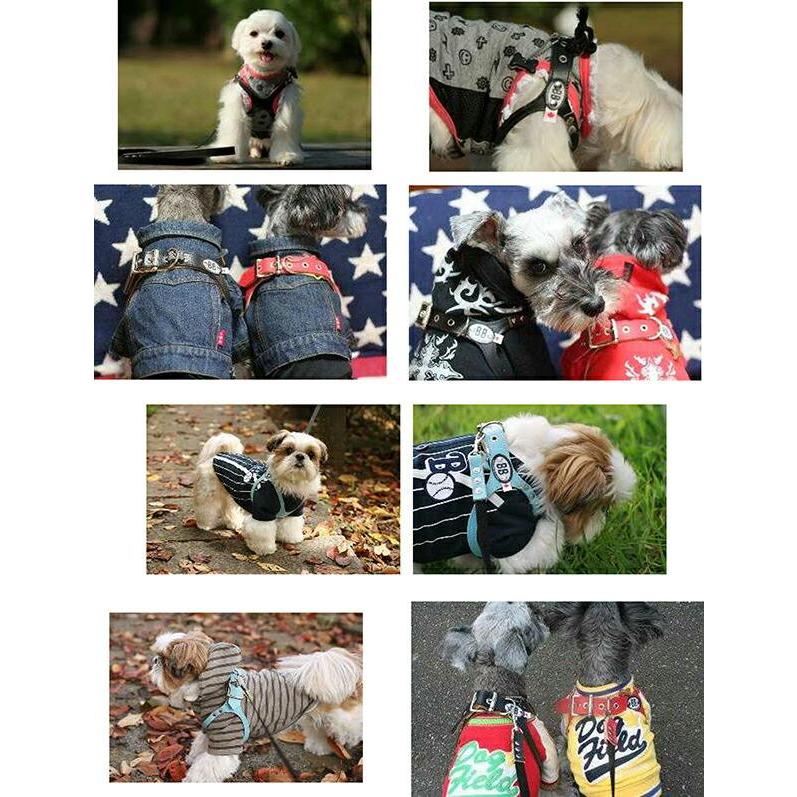 バディーベルト ハーネス 3号 ラテ Latte 小型犬 ペット レザー 本革 BUDDYBELT バディベルト 犬用 胴輪 リングハーネス メガネの画像