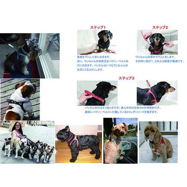 バディーベルト ハーネス 3.5号 ラテ Latte スワロフスキー付 小型犬 ペット レザー 本革 BUDDYBELT バディベルト 犬用 胴輪｜dogskip｜12