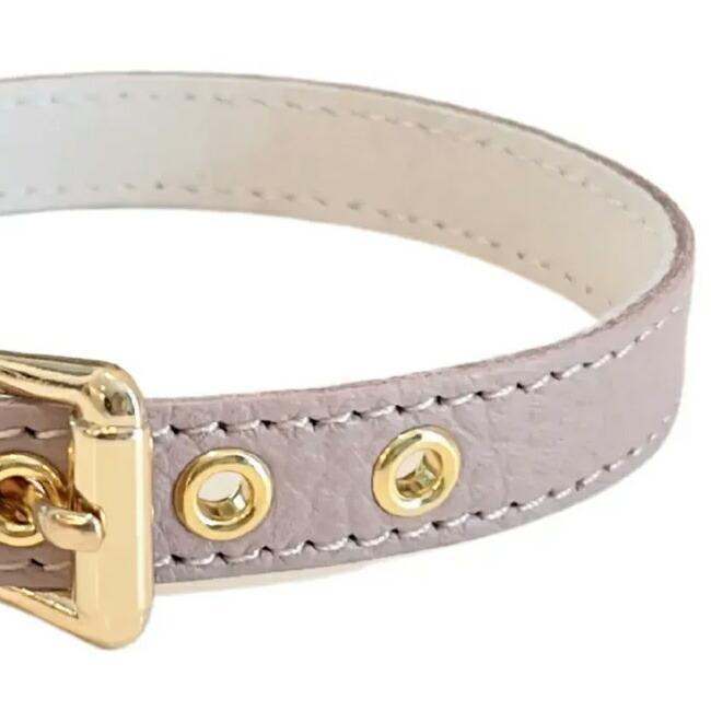 BB 首輪 ラテ latte 3号 ID カラー バディーベルト buddybelt
