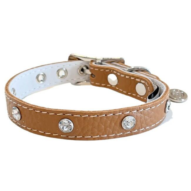 BB ID カラー 首輪 3号 ワロフスキークリスタル付 バディーベルト buddybelt バディベルト かわいい おしゃれ カラー かっこいい_10