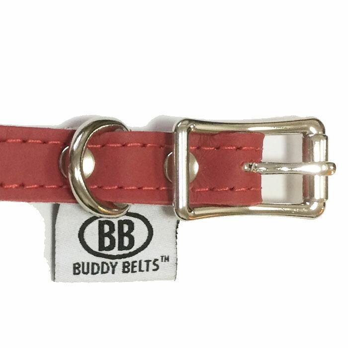 犬猫用の首輪 BBマッチングカラー3号 スワロフスキークリスタル付 BUDDY BELT BUDDYBELTS バディーベルト ペット ドッグ バデ_1
