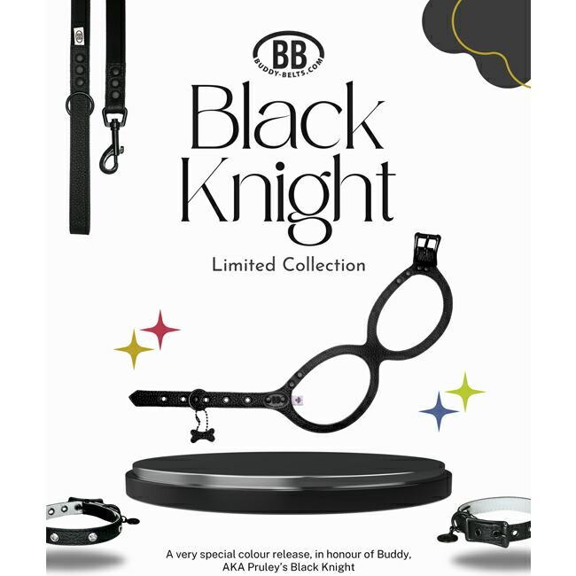 BB 首輪 ブラックナイト 1号 スワロフスキークリスタル付 Black Knight ID カラー バディーベルト buddybelt バディベ_4