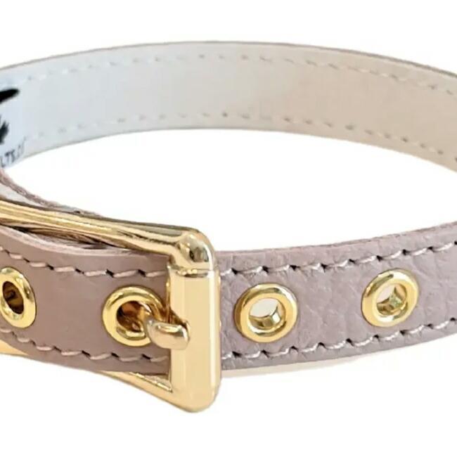 BB 首輪 ラテ latte 1号 ID カラー バディーベルト buddybelt バディ