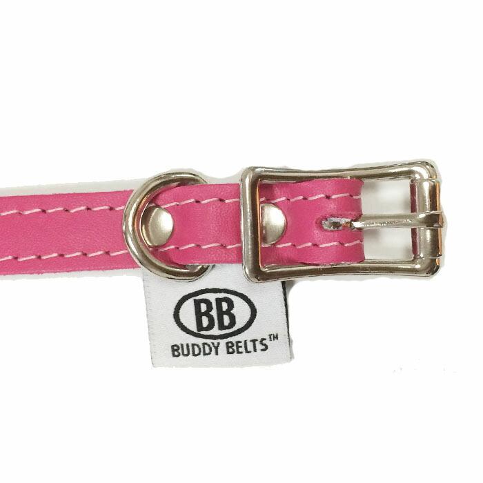 犬用猫用の首輪 1号 BBマッチングカラー ホットピンク スワロフスキークリスタル付 HOTPINK バディーベルト BUDDYBELT ペット ド_1