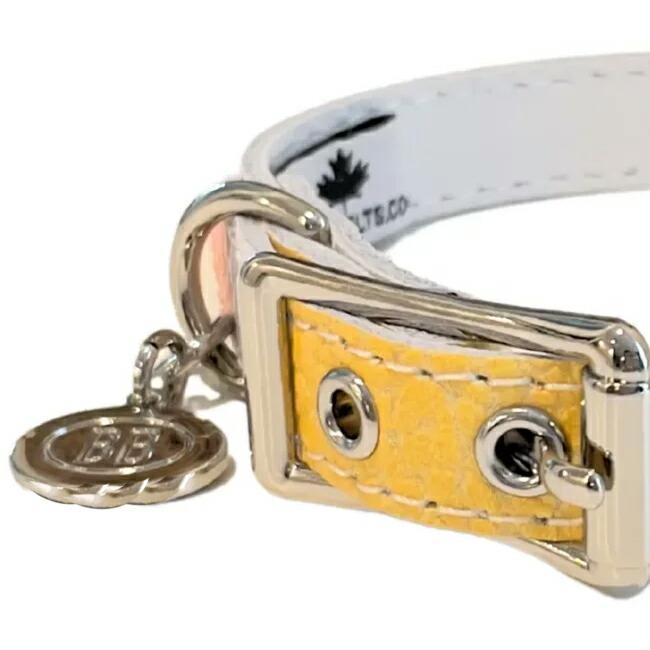 BB 首輪 モッド 1号 ID カラー バディーベルト buddybelt バディベルト