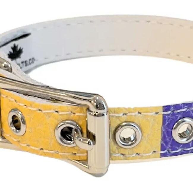 BB 首輪 モッド 4号 ID カラー バディーベルト buddybelt バディベルト