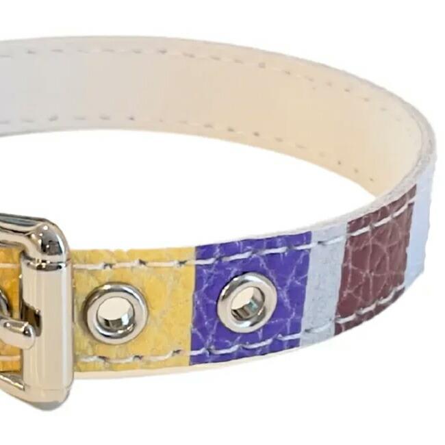 バディベルト　 BB バハマ 4号　 アクセントリード バディベルト BB バハマ 4号 アクセントリード バディベルト BB バハマ