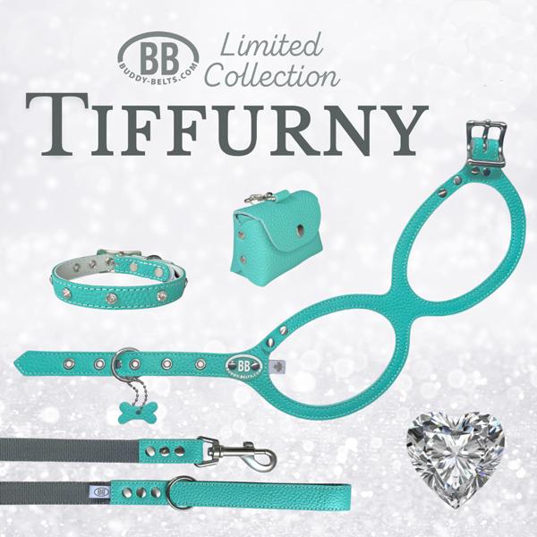 犬用品 BUDDY BELT （Blue）2号 リードセット