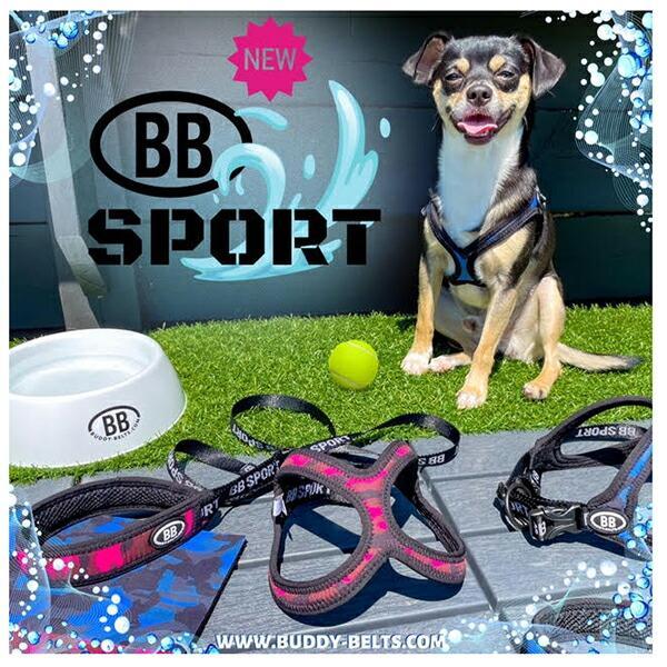 バディーベルト BBスポーツハーネス 4号 小型犬 ペット BUDDYBELT