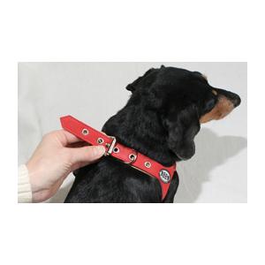胴輪 ハーネス バディーベルト 10号 ペット 犬 レザー 本革 大型