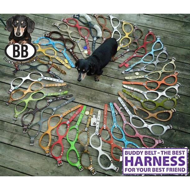 胴輪 ハーネス バディーベルト 6号 ペット 犬 レザー 本革 用 BUDDY