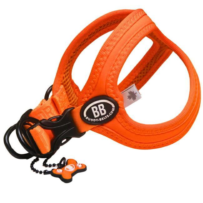 バディーベルト BBスポーツハーネス 3.5号 小型犬 ペット BUDDYBELT