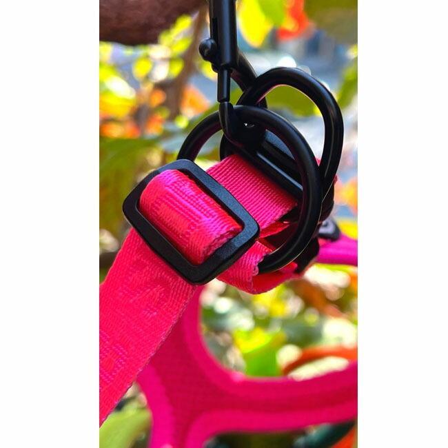 バディーベルト BBスポーツハーネス 4.5号 小型犬 ペット BUDDYBELT