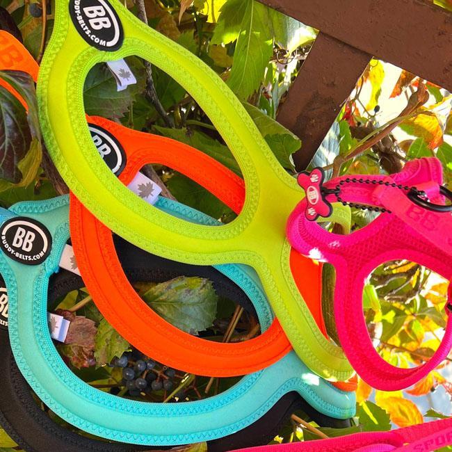 バディーベルト BBスポーツハーネス 4号 小型犬 ペット BUDDYBELT