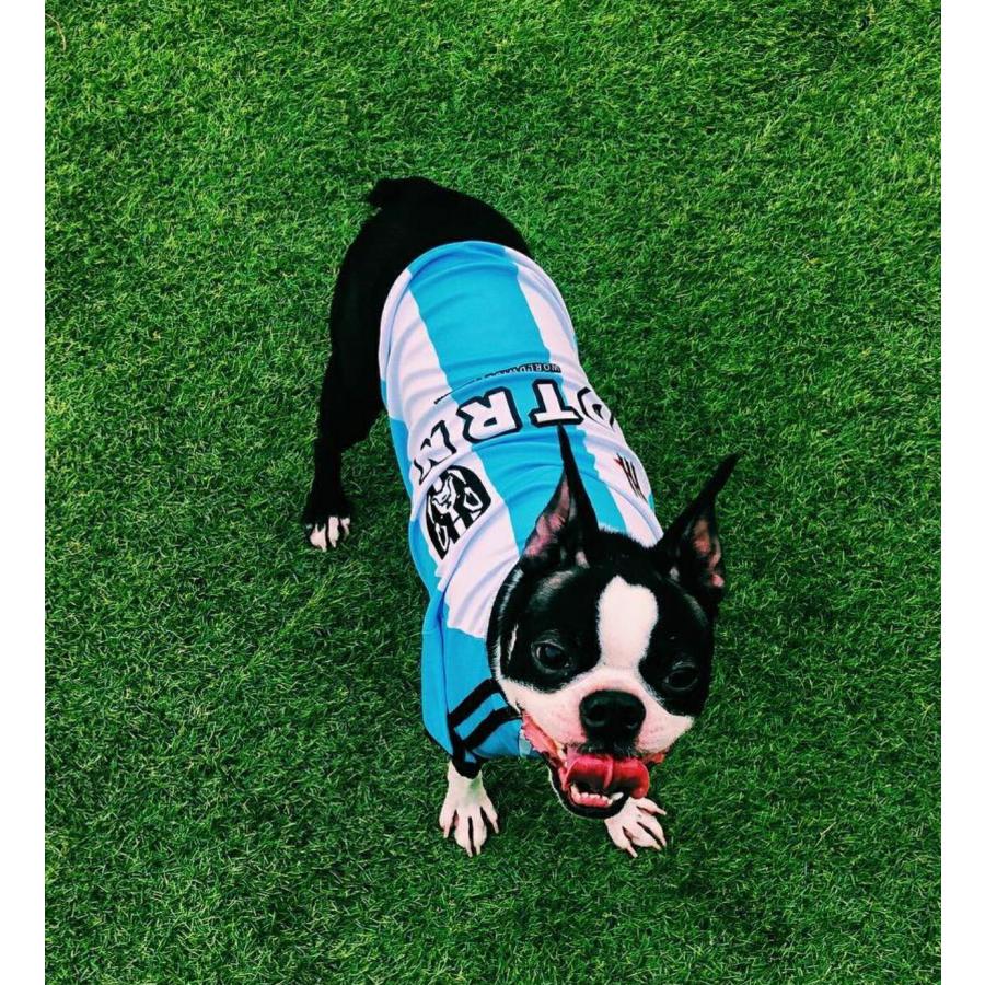 ドッグトリンオリジナル フットボール サッカーウェア：XS,S,M,Lサイズ DOGTRINE FC Jersey 犬用 ペット ドッグ 洋服 小型｜dogskip｜17