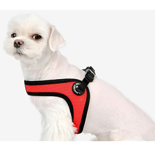 コンビVバックルハーネス：S,M,Lサイズ OLCHI Combi V Buckle Harness