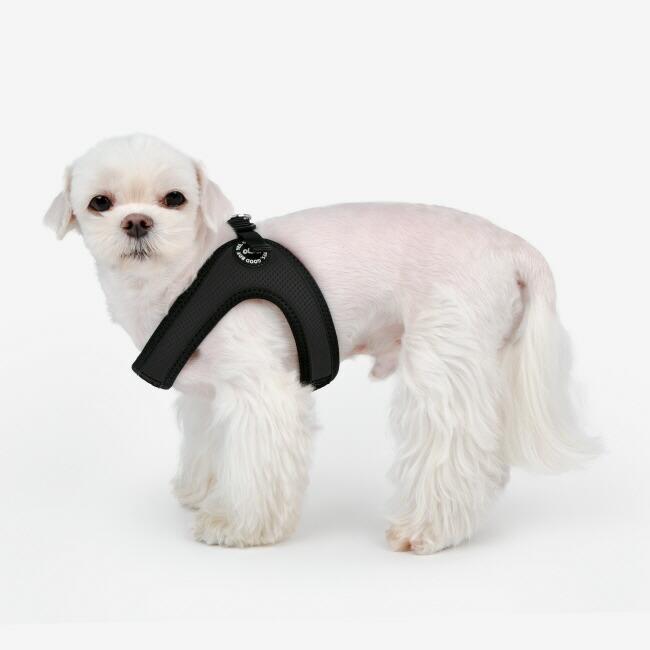 コンビVバックルハーネス：S,M,Lサイズ OLCHI Combi V Buckle Harness