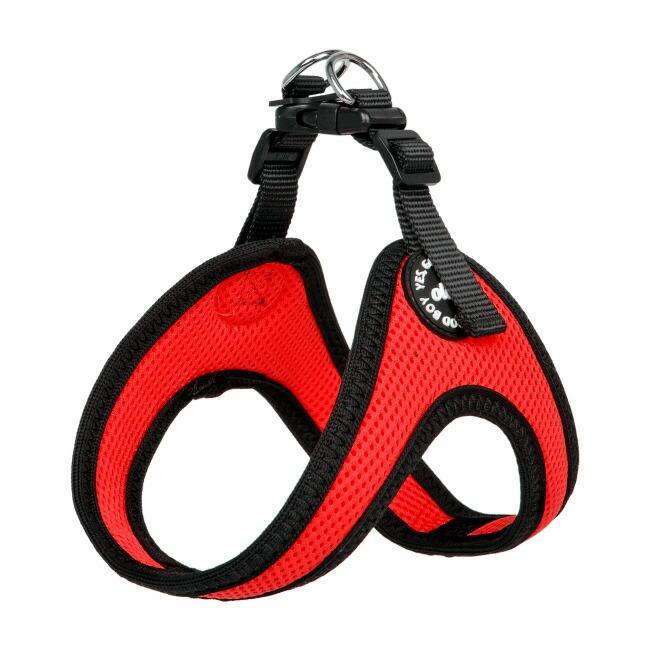 コンビVバックルハーネス：S,M,Lサイズ OLCHI Combi V Buckle Harness
