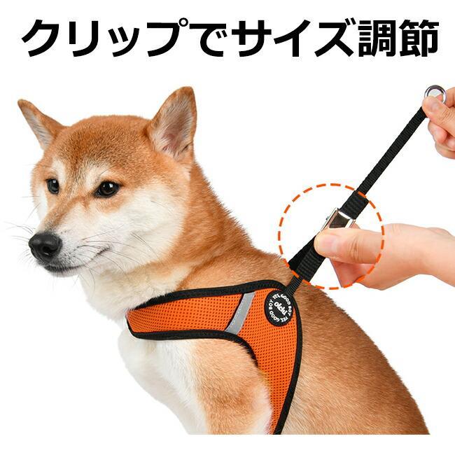 コンビVストリングハーネス：S,M,Lサイズ OLCHI Combi V String