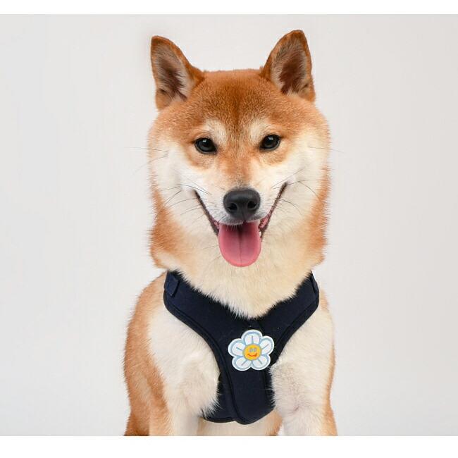 オルチフラワーXハーネス：S,M,Lサイズ OLCHI FLOWER X HARNESS 胴輪
