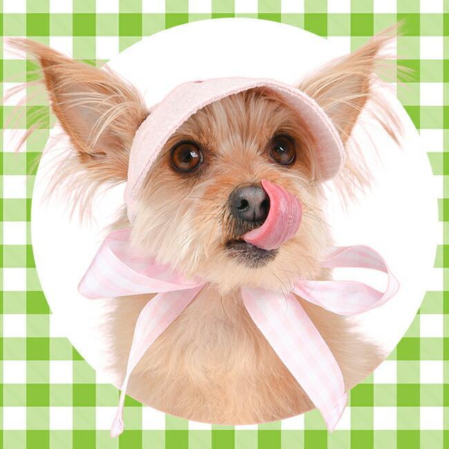 犬用 オルチ フラワーピクニックサンバイザー 帽子 Olchi Flower