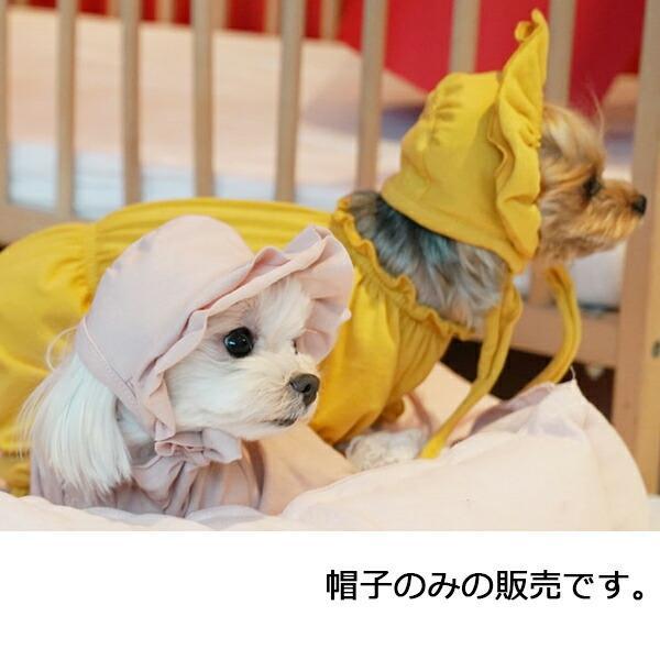 犬用 PAウルルキュートハット パピーエンジェル 小型犬 犬 Puppy Angel