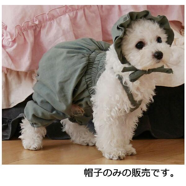 犬用 PAウルルキュートハット パピーエンジェル 小型犬 犬 Puppy Angel