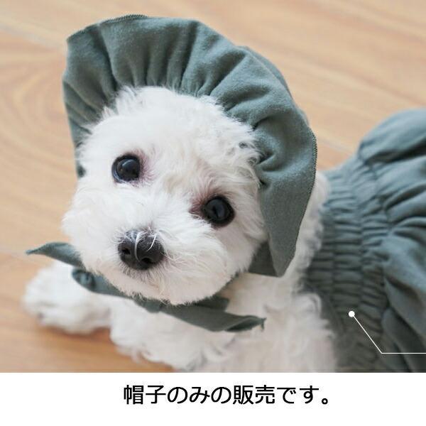犬用 PAウルルキュートハット パピーエンジェル 小型犬 犬 Puppy Angel