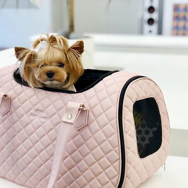 犬用 PAペットトラベルキャリーバッグ Mサイズ Puppy Angel Pet