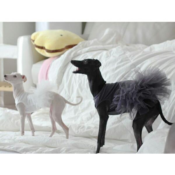 犬用 PAドッグチュチュドレス：XS,S,SM,M,ML,L,XLサイズ パピー