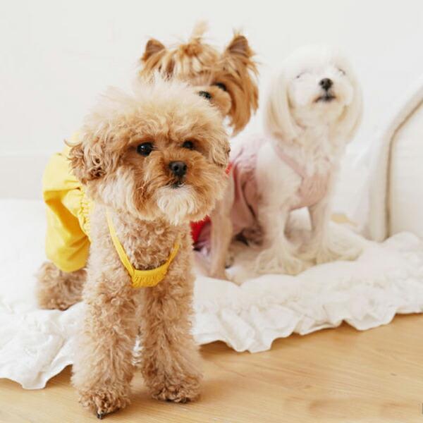 犬用 PAウルルポンチャンスリーブレスオーバーオール S,SM,M,ML,L,XL