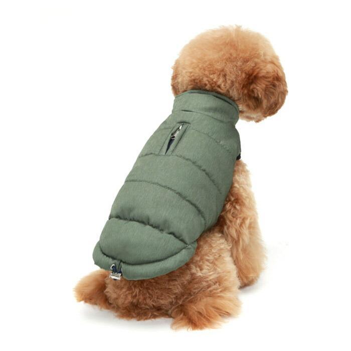 犬用 PAメランジパデッドベスト：4XL,5XLサイズ Puppy Angel Melange