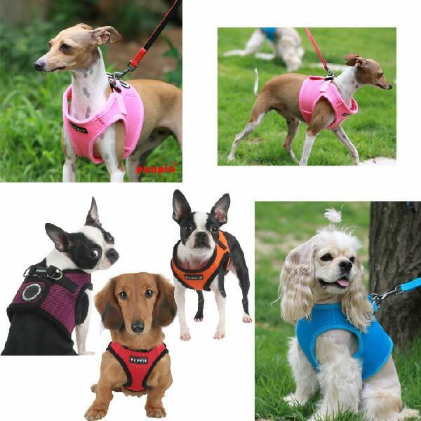 Puppia パピア ソフトベストハーネス Xxlサイズ 小型犬 ペット 犬ハーネス 胴輪ドッグ 犬用 メッシュ ベスト型 ソフトハーネス ベ Paha Ah305 Xxl Dogskip Yahoo 店 通販 Yahoo ショッピング