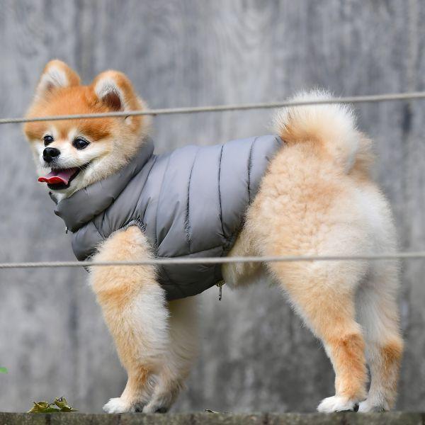 犬用 パピアウルトラライトベストジャンパー(ジッパーAタイプ) Ultralight Vest A：XXLサイズ PUPPIA パピア ペット ドッ｜dogskip｜04