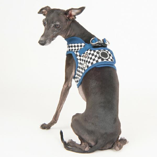 犬用 胴輪 ランサーハーネスb S M Lサイズ 小型犬 犬 Puppia パピア ペット ドッグ Patd Hb1767 Dogskip Yahoo 店 通販 Yahoo ショッピング