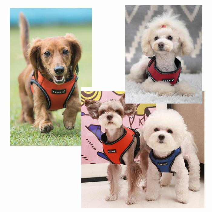 犬用 トレックハーネスB 胴輪：3XLサイズ TREK HARNESS B PUPPIA パピア ペット ドッグ｜dogskip｜03