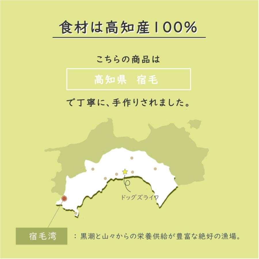 猫用 おやつ 魚 無添加 国産 無着色 アレルギー対応 きびなご煮干し にぼし 50g｜dogslife｜06