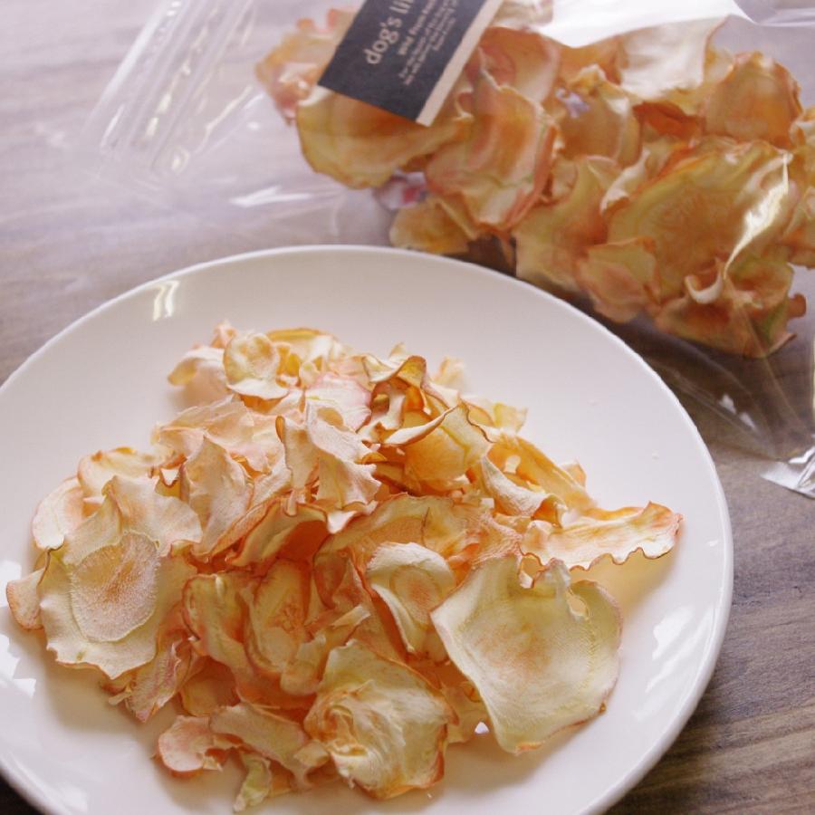 犬用 ドライフルーツ 野菜 おやつ 天然 国産 無添加 にんじんチップス 15g Frt 03 ドッグズライフ Yahoo 店 通販 Yahoo ショッピング