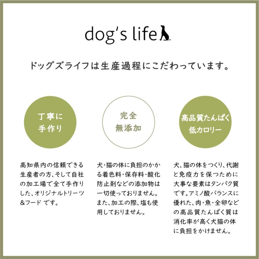 ドッグフード ウェット 魚 無添加 低脂肪 シニア 焼きかつお 1本 やわらか｜dogslife｜09