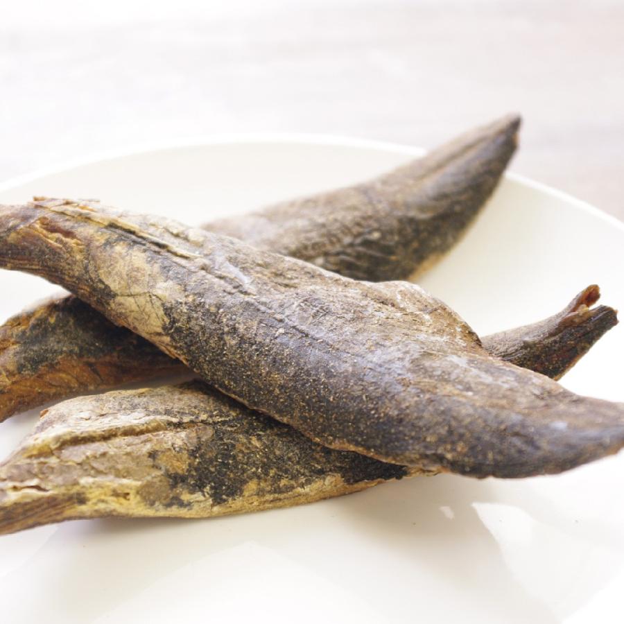 犬用 噛む おやつ 魚 無塩 無添加 かつお 宗田節スティック 大 70g Koc 10 ドッグズライフ Yahoo 店 通販 Yahoo ショッピング