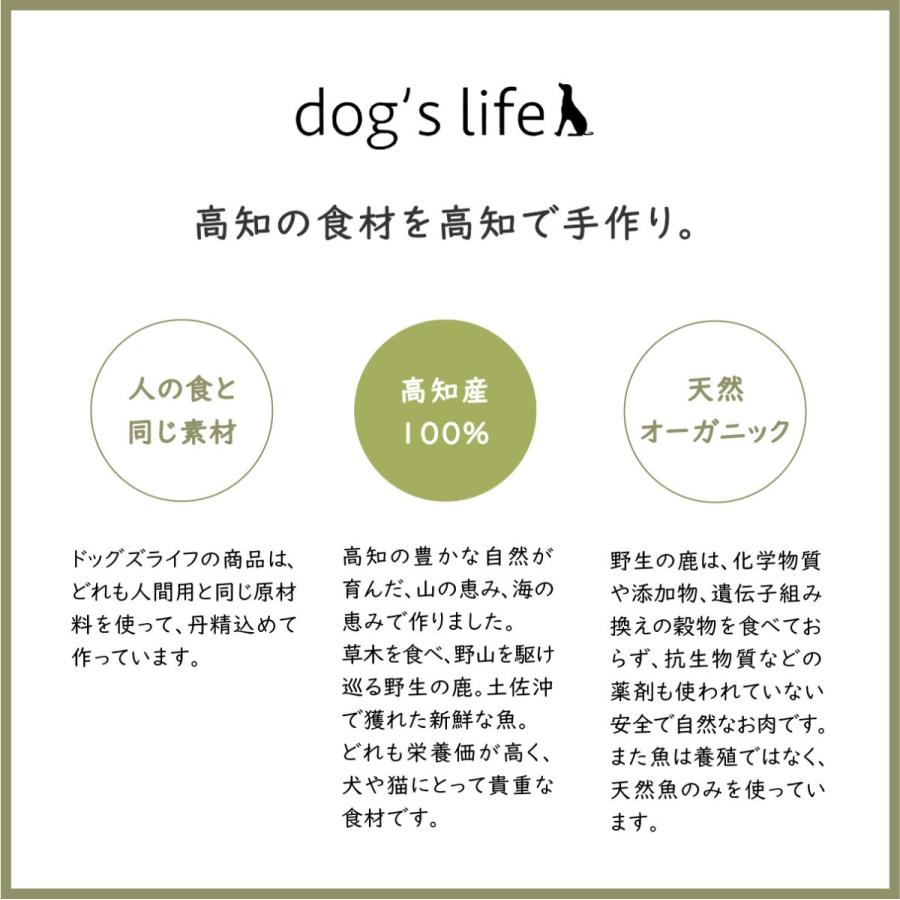 犬 硬い おやつ 国産 無添加 噛む 鰹 宗田節スティック (大) 大袋 210g｜dogslife｜12