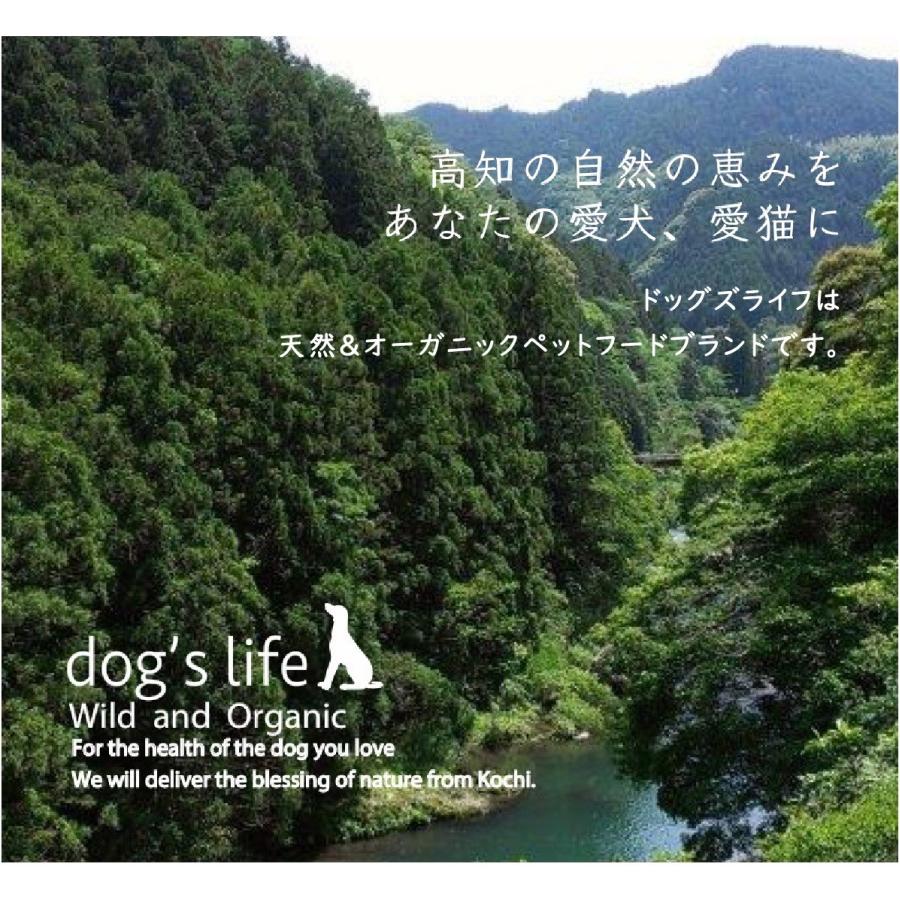 犬用 おやつ 天然 無添加 かつお アレルギー対応 宗田節チップス 大袋 150g｜dogslife｜11