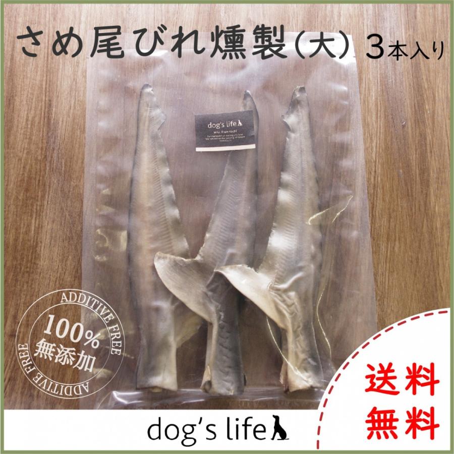犬用 大型犬 噛む おやつ 骨 無添加 国産 さめ尾ビレ燻製 大 3本入り 固い 長持ち 送料無料 メール便 Koc 45 ドッグズライフ Yahoo 店 通販 Yahoo ショッピング