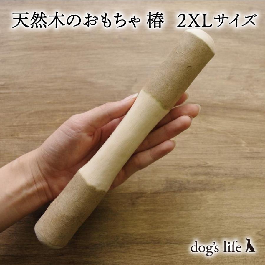 犬用天然木のおもちゃ 自然木タイプ 椿 ２xl サイズ Surajinformatics Com