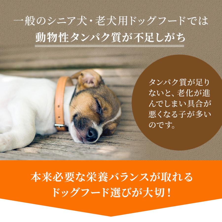 鹿肉 ドッグフード 国産 無添加 ドッグスタンス 鹿肉 ベーシック 1kg 3袋 犬用 ベニソン ドックフード ドライフード シニア犬 高齢犬 成犬 パピー 全年齢対応 Dsf01 3 ペットスタンス 通販 Yahoo ショッピング